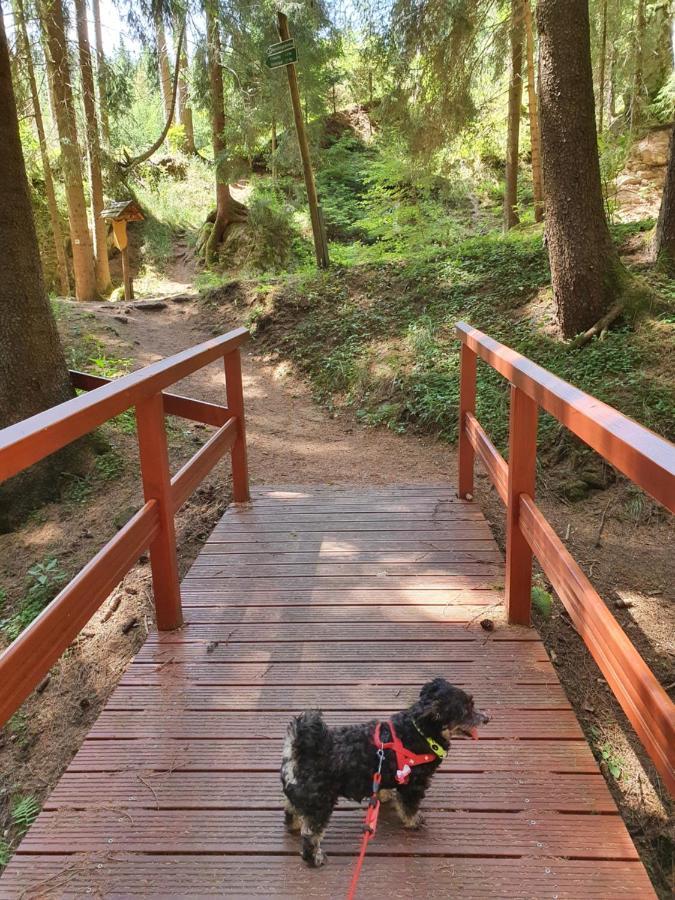 Ferienhaeuser & - Naturcamp Meyersgrund Im Thueringer Wald Дом отдыха Ильменау
