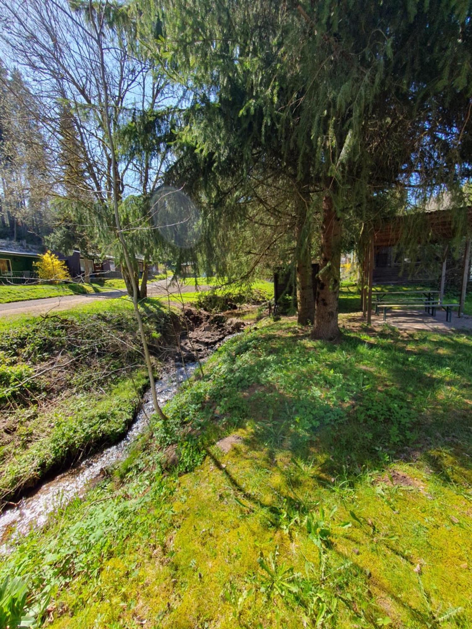 Ferienhaeuser & - Naturcamp Meyersgrund Im Thueringer Wald Дом отдыха Ильменау